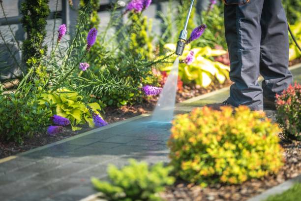 Best Post-Construction Pressure Washing  in Wharton, NJ